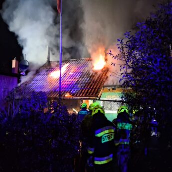 Pożar na działkach w Międzyzdrojach. Na miejscu pięć zastępów straży!