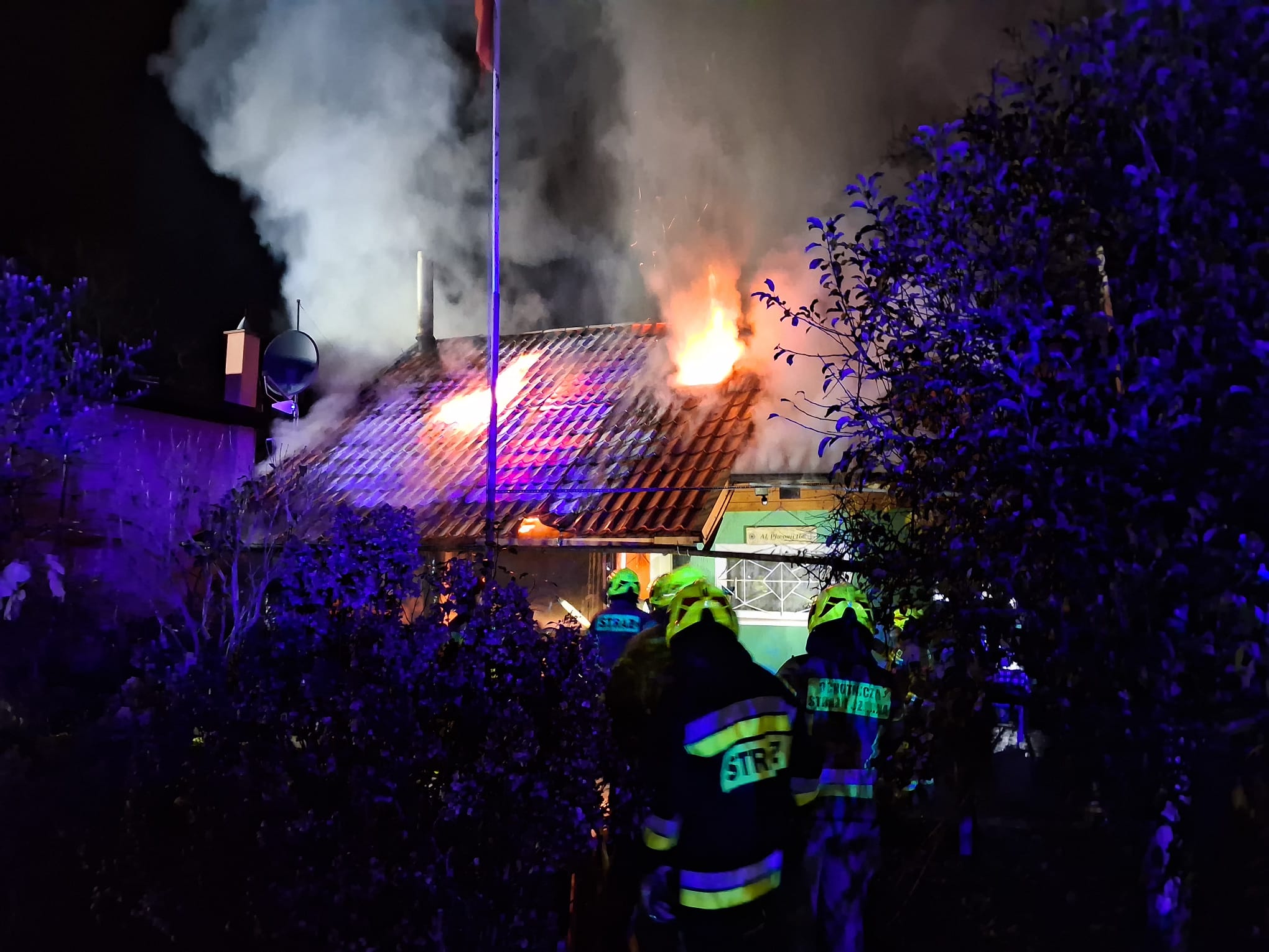 Pożar na działkach w Międzyzdrojach. Na miejscu pięć zastępów straży!