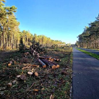 Harvestery wkroczyły do akcji. Las tuż za Międzywodziem zamienił się w pustynię