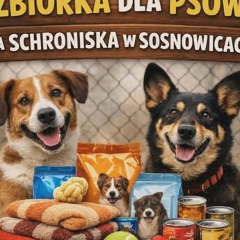 Zbiórka darów dla psów ze schroniska w Sosnowicach. Każdy może pomóc