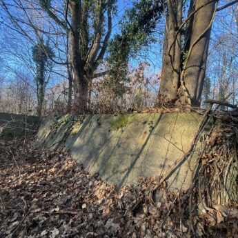 Zapomniana Cementownia na Wyspie Chrząszczewskiej w Buniewicach