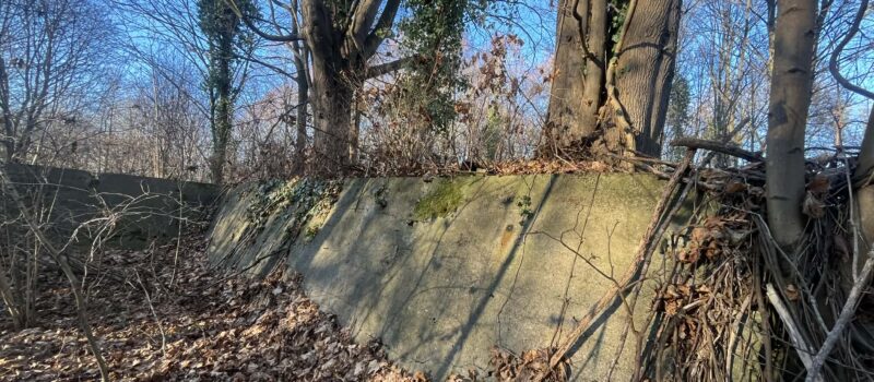 Zapomniana Cementownia na Wyspie Chrząszczewskiej w Buniewicach