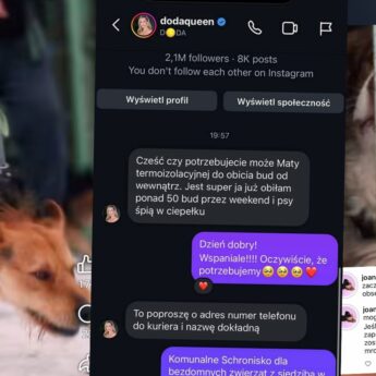 Ogromny odzew po apelu schroniska w Sosnowicach. „Odpowiedzieliście całym sercem” [FILM]