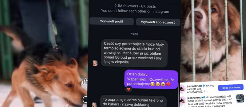 Ogromny odzew po apelu schroniska w Sosnowicach. „Odpowiedzieliście całym sercem” [FILM]