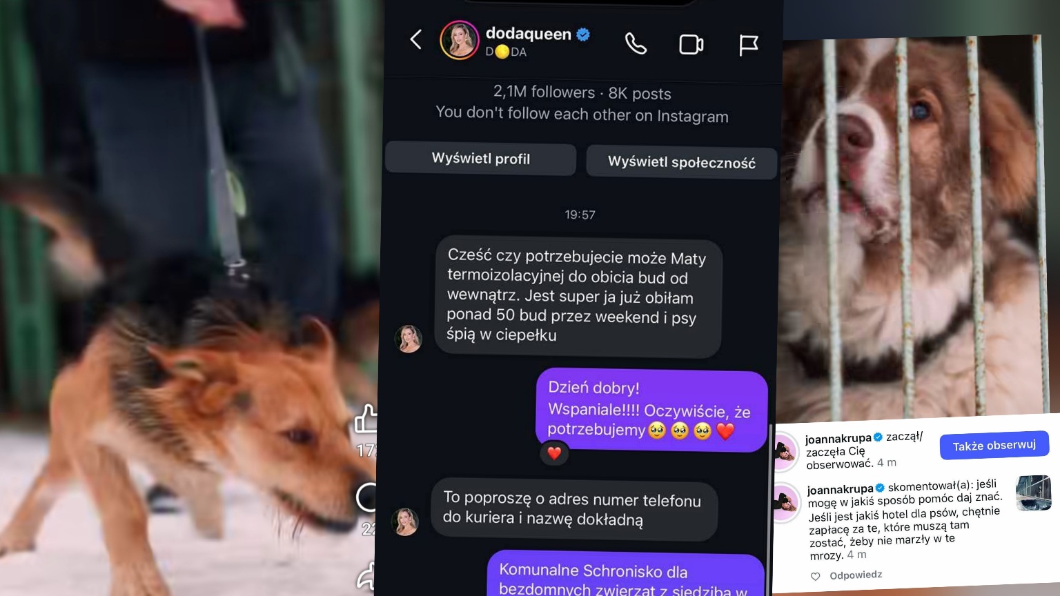 Ogromny odzew po apelu schroniska w Sosnowicach. „Odpowiedzieliście całym sercem” [FILM]