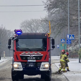Marznące opady i śnieg dają się we znaki. Drzewo runęło na chodnik w Kamieniu Pomorskim