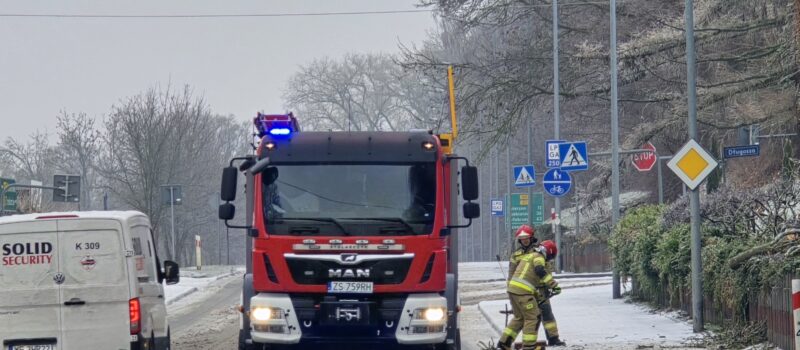 Marznące opady i śnieg dają się we znaki. Drzewo runęło na chodnik w Kamieniu Pomorskim