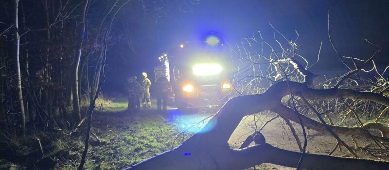 IMGW ostrzega przed silnym wiatrem!