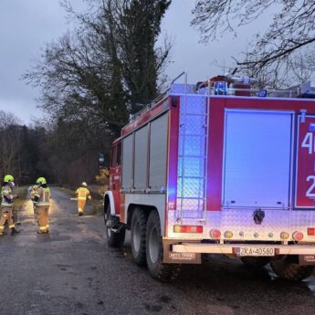 Wiatr daje się we znaki. Strażacy interweniowali na trasie Stuchowo - Ciesław
