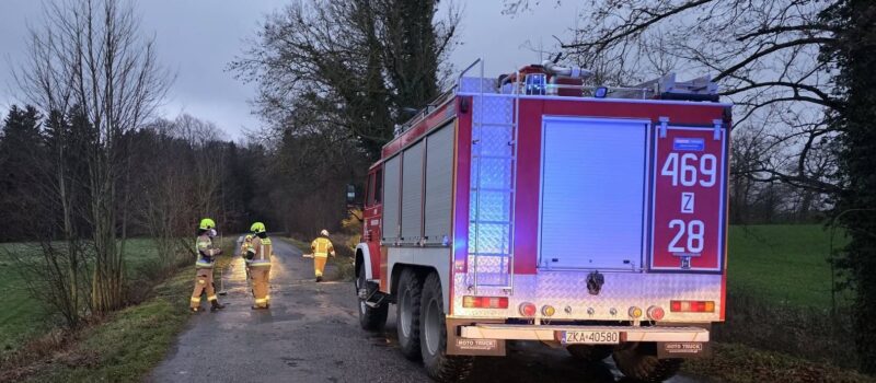 Wiatr daje się we znaki. Strażacy interweniowali na trasie Stuchowo - Ciesław