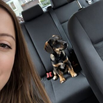 Apel zastępcy wójta Gminy Świerzno o pomoc dla zwierząt w czasie silnych mrozów!