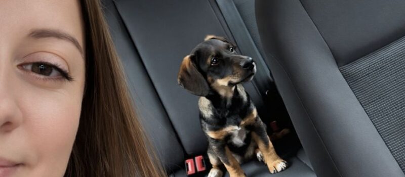 Apel zastępcy wójta Gminy Świerzno o pomoc dla zwierząt w czasie silnych mrozów!