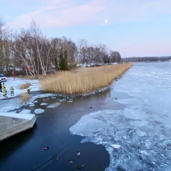Łabędź… po prostu odleciał. „Fałszywy alarm” przy moście w Dziwnowie