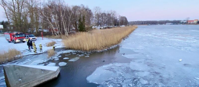 Łabędź… po prostu odleciał. „Fałszywy alarm” przy moście w Dziwnowie Łabędź… po prostu odleciał. „Fałszywy alarm” przy moście w Dziwnowie