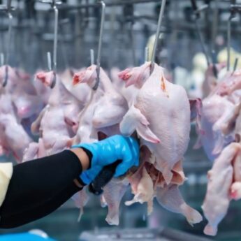 Rozbudowa zakładu IKO w Golczewie. Burmistrz wydał decyzję o warunkach zabudowy