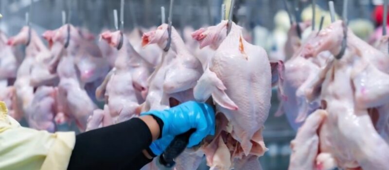 Rozbudowa zakładu IKO w Golczewie. Burmistrz wydał decyzję o warunkach zabudowy