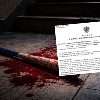 Zabił kota metalowym kijem. Sąd w Kamieniu Pomorskim kazał ogłosić wyrok publicznie