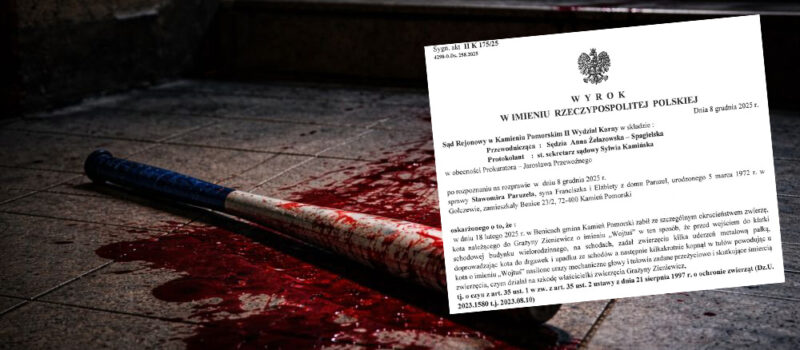 Zabił kota metalowym kijem. Sąd w Kamieniu Pomorskim kazał ogłosić wyrok publicznie