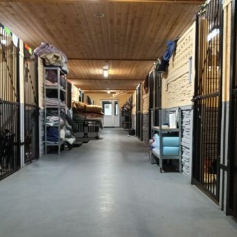 Schronisko w Sosnowicach zatrudni opiekuna zwierząt