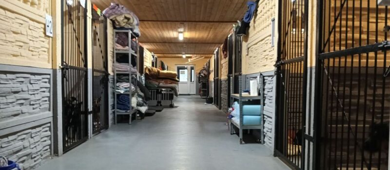 Schronisko w Sosnowicach zatrudni opiekuna zwierząt Schronisko w Sosnowicach zatrudni opiekuna zwierząt