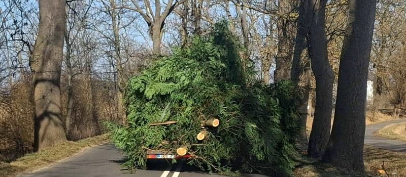 Na trasie Wolin – Unin ktoś przesadził z fantazją