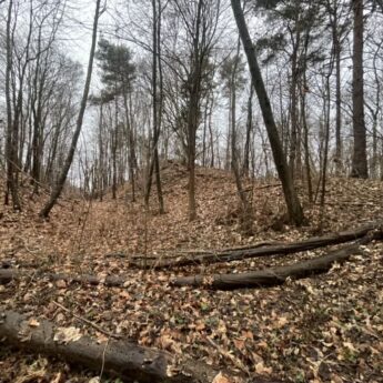 Zatarte ślady przeszłości. Wzgórze Galgenberg koło Wrzosowa