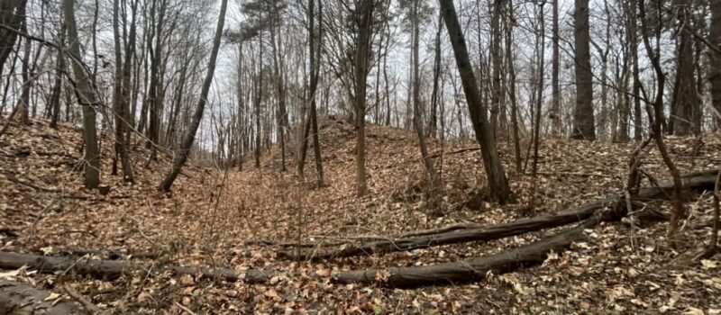 Zatarte ślady przeszłości. Wzgórze Galgenberg koło Wrzosowa Zatarte ślady przeszłości. Wzgórze Galgenberg koło Wrzosowa