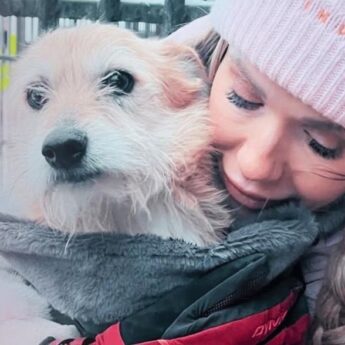 Zwierzęta nie mają barw politycznych. Ruszył apolityczny apel do władz