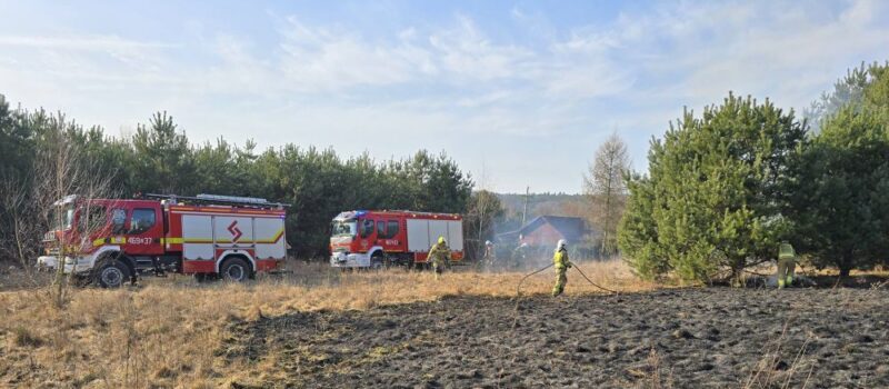 Wiosna i ogień na nieużytkach. Strażacy interweniowali w Domysłowie