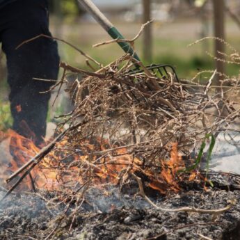 Palisz gałęzie na działce? Możesz dostać nawet 5 tys. zł kary