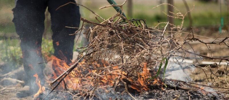 Palisz gałęzie na działce? Możesz dostać nawet 5 tys. zł kary