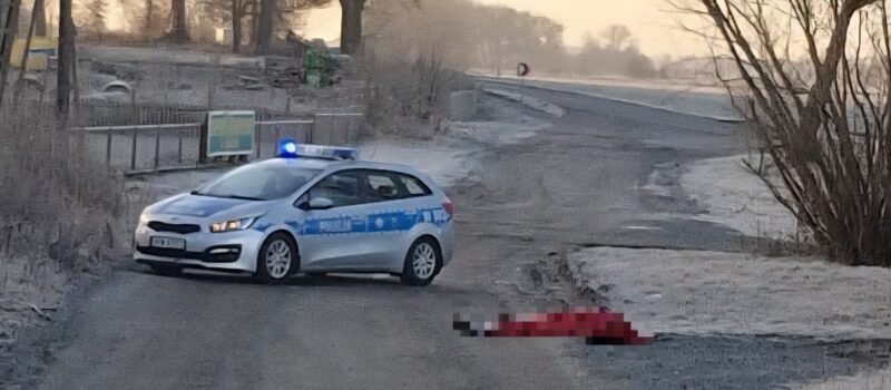 Makabryczne odkrycie w Gadomiu. Na drodze znaleziono ciało mężczyzny