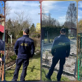 Działkowcy pod czujnym okiem służb. Wspólny patrol policji i straży miejskiej w Dziwnowie