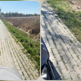 Chodnik między Kamieniem Pomorskim a osiedlem Chopina w fatalnym stanie. Czytelniczka: "To koszmar"