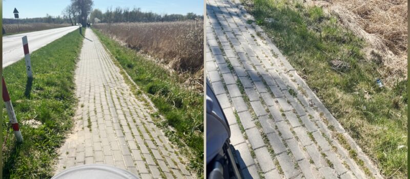 Chodnik między Kamieniem Pomorskim a osiedlem Chopina w fatalnym stanie. Czytelniczka: "To koszmar"