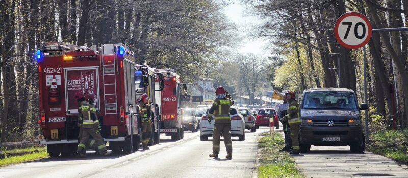 Drzewo runęło na auto przed Międzywodziem