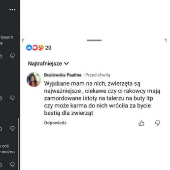 Miała przestać - teraz komentuje. Patostreamerka znów uderza w chore dzieci