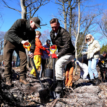 Marszałek Geblewicz i poseł Łącki przywracają las. Wspólna akcja w gminie Wolin [ZDJĘCIA]