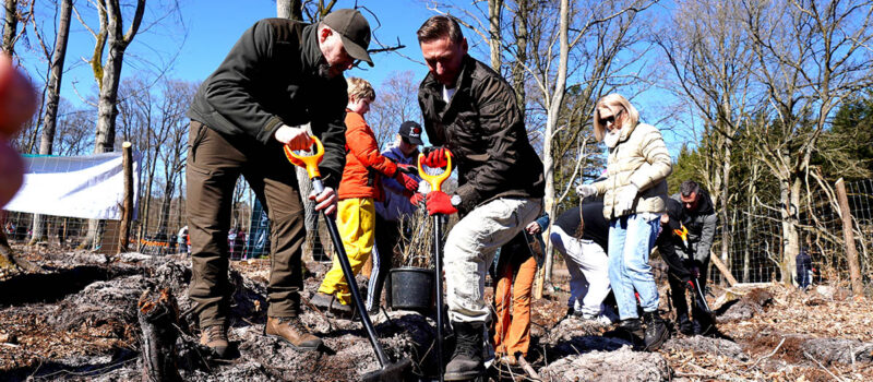 Marszałek Geblewicz i poseł Łącki przywracają las. Wspólna akcja w gminie Wolin [ZDJĘCIA]