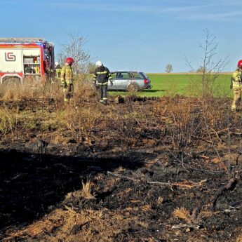 Pożar pola w Grabowie. W akcji pięć zastępów straży