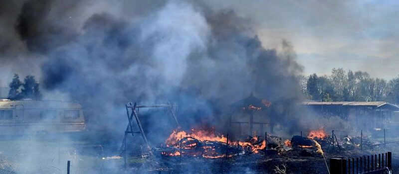 Pożar przyczep campingowych i nieużytków w Zastaniu
