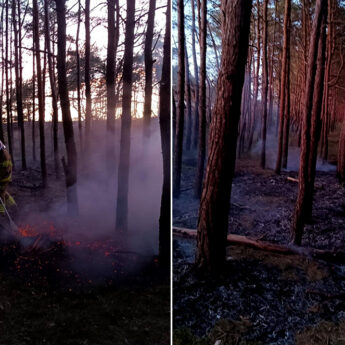 Pożar w Międzywodziu. Strażacy ruszyli do akcji