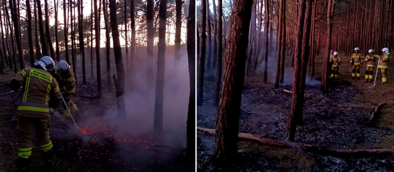 Pożar w Międzywodziu. Strażacy ruszyli do akcji