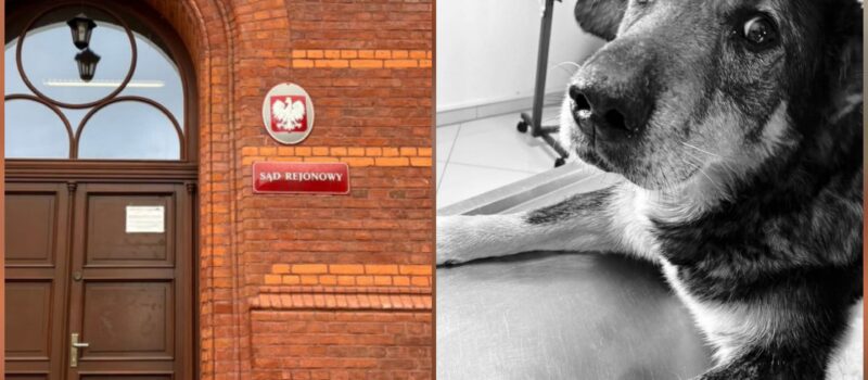 Proces w sprawie Maksa i Wigora. Fundacja walczy o sprawiedliwość