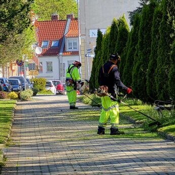PGK intensyfikuje prace przy zieleni miejskiej