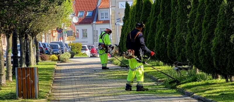 PGK intensyfikuje prace przy zieleni miejskiej PGK intensyfikuje prace przy zieleni miejskiej