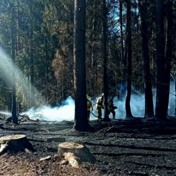 Groźny pożar lasu pod Błotnem. Do akcji ruszyli strażacy z dwóch powiatów i samoloty gaśnicze
