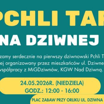 Pierwszy Pchli Targ na Dziwnej w Dziwnowie. Będzie sprzedaż, wymiana, kawa i „niespodzianka z kociołka”