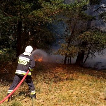 Pożar ściółki leśnej na Wzgórzu Wisielców w Wolinie