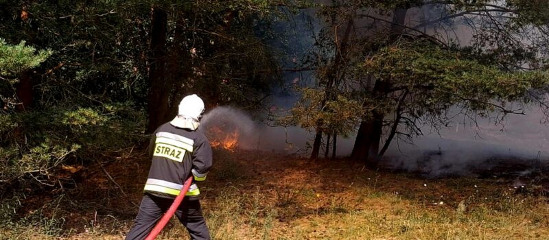Pożar ściółki leśnej na Wzgórzu Wisielców w Wolinie